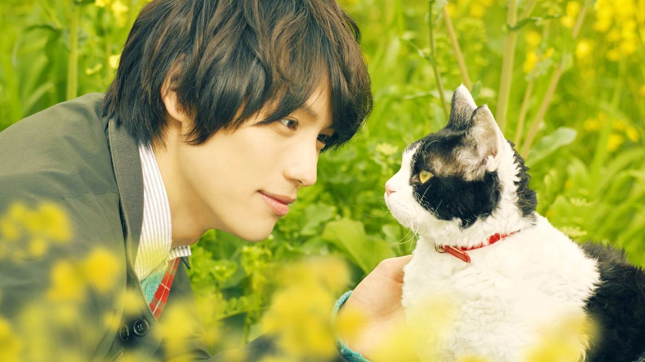 The Travelling Cat Chronicles (2018) ผม แมว และการเดินทางของเรา